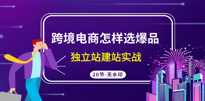 跨境电商怎样选爆品，独立站建站实战（20节高清无水印课）-微众资源