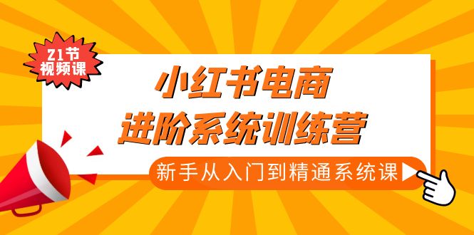 小红书电商进阶系统训练营：新手从入门到精通系统课（21节视频课）-微众资源