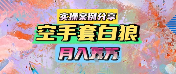 空手套白狼，月入过1W，实操案例分享-微众资源
