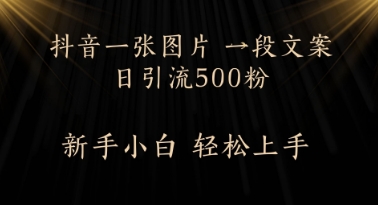 每天2分钟，抖音一张图片 一段文案日引流500粉-微众资源