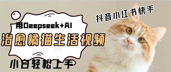 疯狂火爆，用Deepseek+AI做治愈橘猫系列视频，小白轻松制作+快速拿到结果-微众资源