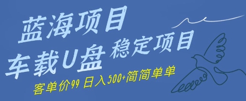 蓝海项目车载U盘稳定项目，挣的就是信息差，客单价99，日入几张简简单单-微众资源