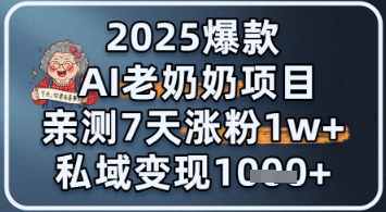 2025爆款 AI 老奶奶项目：亲测 7 天涨粉 1W+，私域变现 1k+-微众资源
