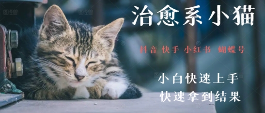 拆解，疯狂火爆！抖音，小红书，视频号小猫治愈的视频，轻松制作+快速拿到结果-微众资源