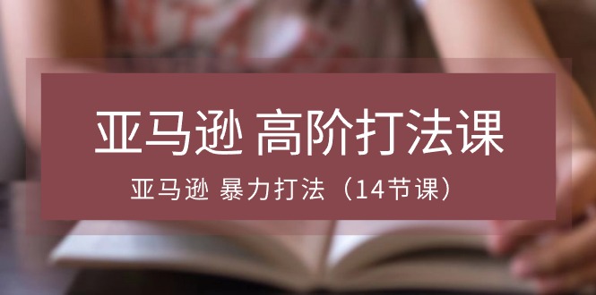 亚马逊 高阶打法课，亚马逊 暴力打法（14节课）-微众资源