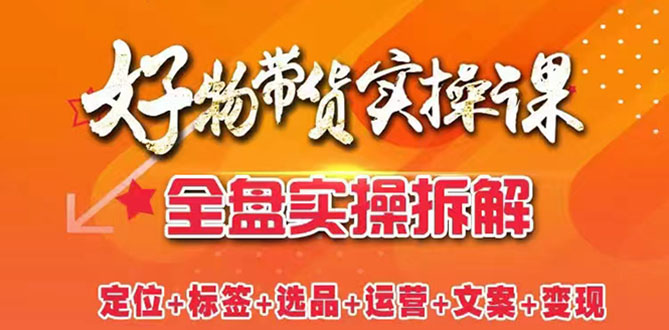 抖音好物带货实操课：全盘拆解抖音好物带货号全套流程打法-微众资源