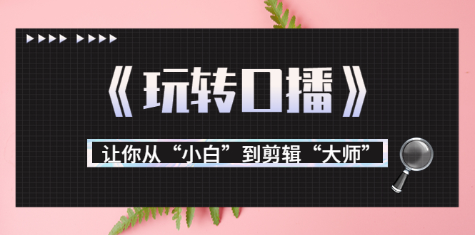 月营业额700万+大佬教您《玩转口播》让你从“小白”到剪辑“大师”-微众资源