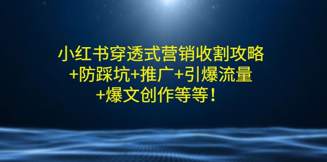 小红书穿透式营销收割攻略+防踩坑+推广+引爆流量+爆文创作等等！-微众资源