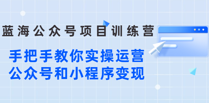 蓝海公众号项目训练营，手把手教你实操运营公众号和小程序变现-微众资源