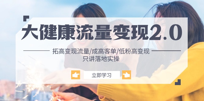 大健康 流量 变现2.0：拓高变现 流量/成高客单/低粉高变现/只讲落地实战-微众资源