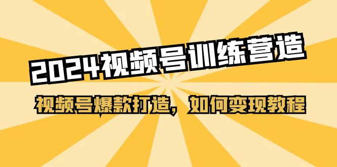 2024视频号训练营，视频号爆款打造，如何变现教程（20节课）-微众资源