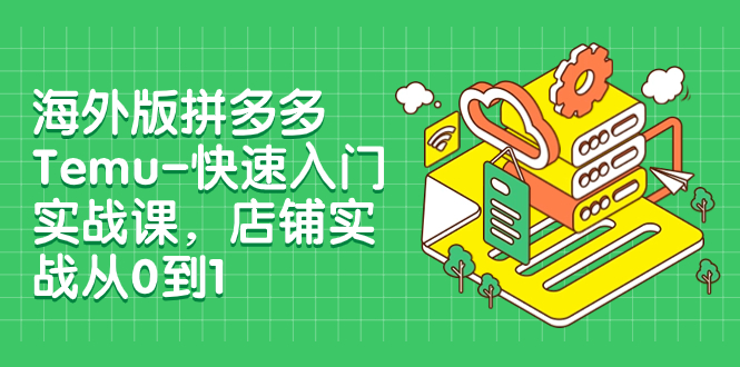 海外版拼多多Temu-快速入门实战课，店铺实战从0到1（12节课）-微众资源