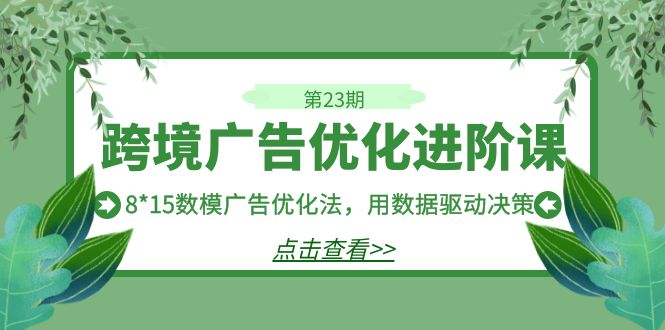 跨境广告·优化进阶课·第23期，8*15数模广告优化法，用数据驱动决策-微众资源