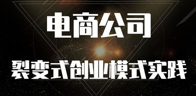 《电商公司裂变式创业模式实践》开拓更多项目 赚更多的钱-微众资源