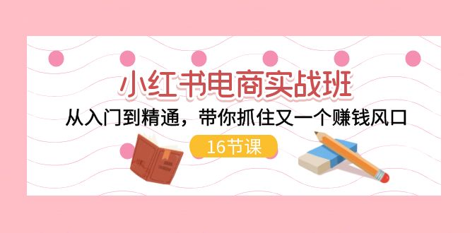 小红书电商实战班，从入门到精通，带你抓住又一个赚钱风口（16节）-微众资源