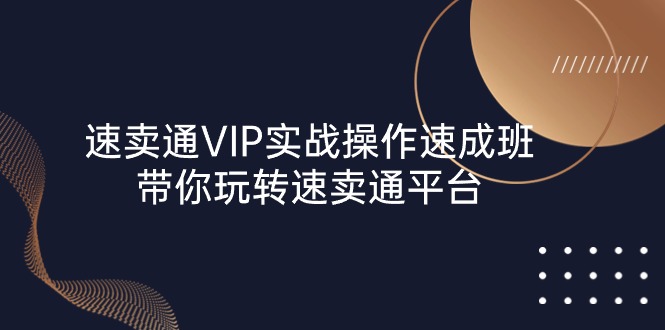 速卖通 VIP实战操作-速成班，带你玩转速卖通平台（23节）-微众资源