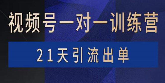 视频号训练营：带货，涨粉，直播，游戏，四大变现新方向，21天引流出单-微众资源
