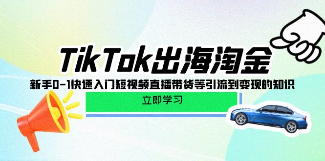TikTok-出海淘金，新手0-1快速入门短视频直播带货等引流到变现的知识-微众资源