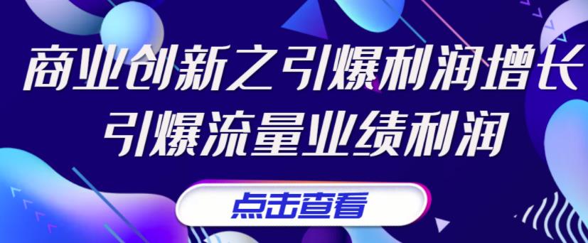 张琦《商业创新之引爆利润增长》引爆流量业绩利润-微众资源