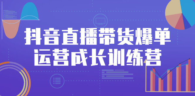 抖音直播带货爆单运营成长训练营，手把手教你玩转直播带货-微众资源