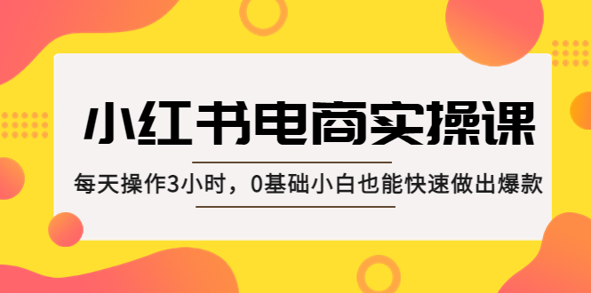 小红书·电商实操课：每天操作3小时，0基础小白也能快速做出爆款！-微众资源