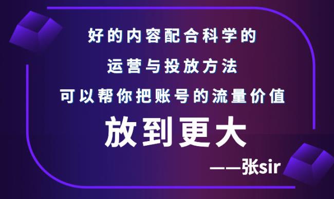 张sir账号流量增长课，告别海王流量，让你的流量更精准-微众资源