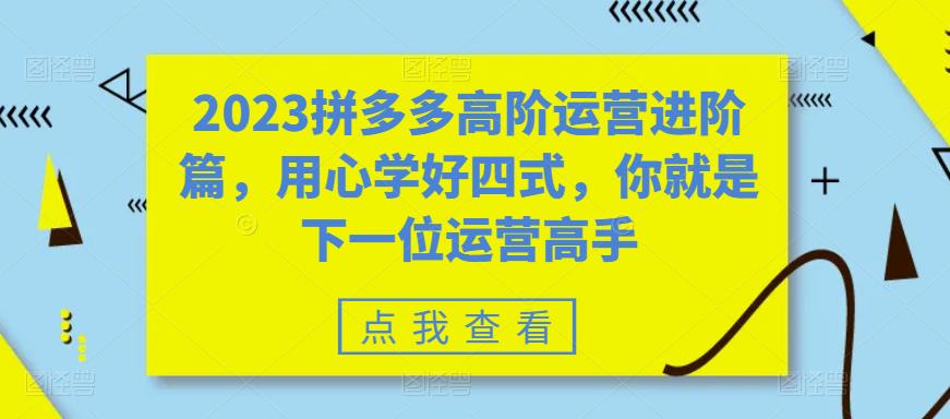 2023拼多多高阶运营进阶篇，用心学好四式，你就是下一位运营高手-微众资源