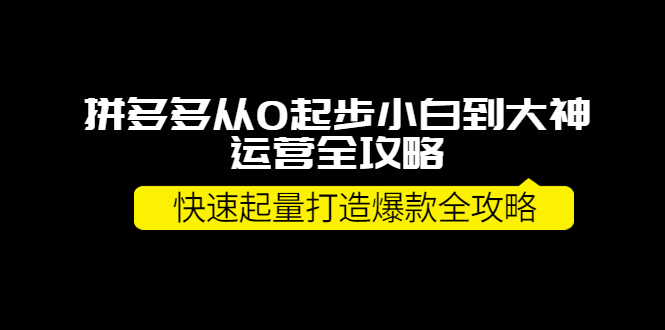 拼多多从0起步小白到大神运营全攻略，快速起量打造10W+爆款全攻略！-微众资源
