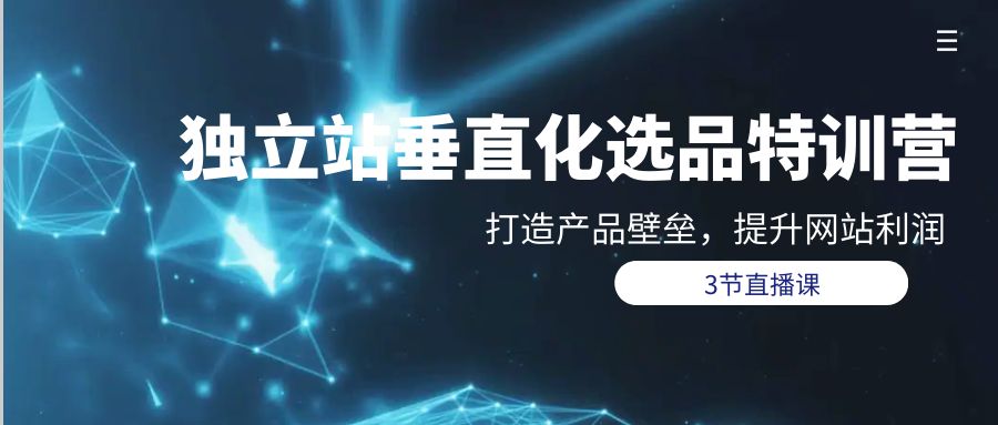 独立站-垂直化选品训练营，打造产品壁垒，提升网站利润（3节直播课）-微众资源