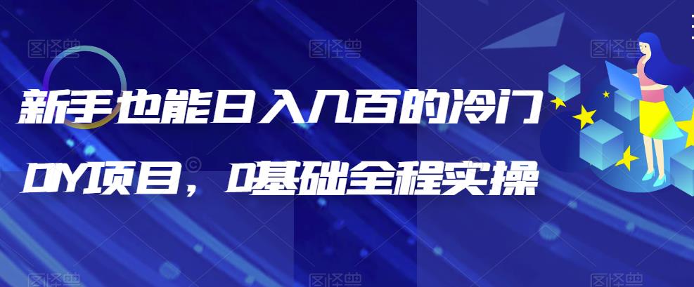 新手也能日入几百的冷门DIY项目，0基础全程实操【揭秘】-微众资源