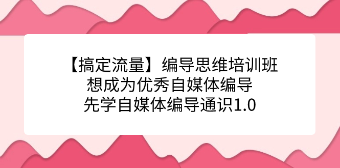 【搞定流量】编导思维培训班，想成为优秀自媒体编导先学自媒体编导通识1.0-微众资源