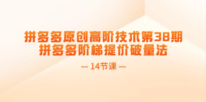 拼多多原创高阶技术第38期，拼多多阶梯提价破量法（14节课）-微众资源