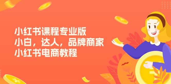 小红书课程专业版，小白，达人，品牌商家，小红书电商教程（15节）-微众资源