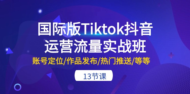 国际版Tiktok抖音运营流量实战班：账号定位/作品发布/热门推送/等等-13节-微众资源