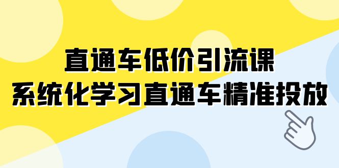 直通车-低价引流课，系统化学习直通车精准投放（14节课）-微众资源