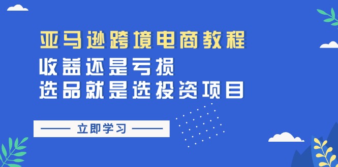 亚马逊跨境电商教程：收益还是亏损！选品就是选投资项目-微众资源