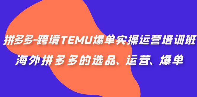 拼多多-跨境TEMU爆单实操运营培训班，海外拼多多的选品、运营、爆单-微众资源