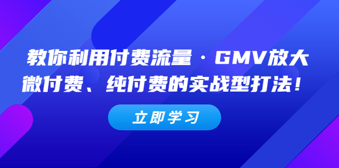 教你利用付费流量·GMV放大，微付费、纯付费的实战型打法！-微众资源