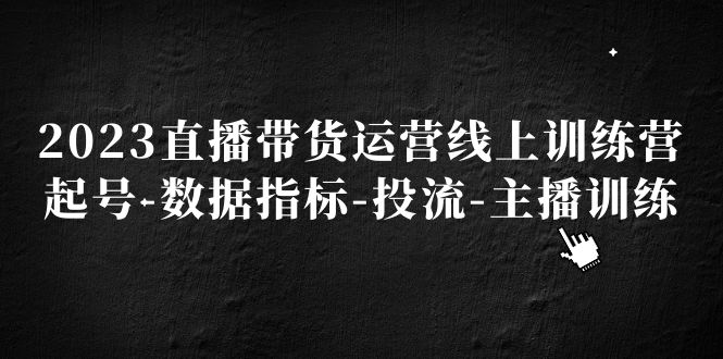 2023直播带货运营线上训练营，起号-数据指标-投流-主播训练-微众资源