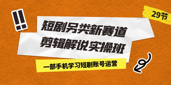 短剧另类新赛道剪辑解说实操班：一部手机学习短剧账号运营（29节 价值500）-微众资源