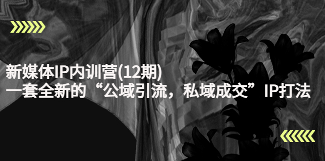 新媒体IP内训营，一套全新的“公域引流，私域成交”IP打法，直接带走-微众资源