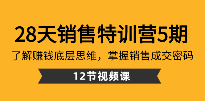 28天·销售特训营5期：了解赚钱底层思维，掌握销售成交密码（12节课）-微众资源