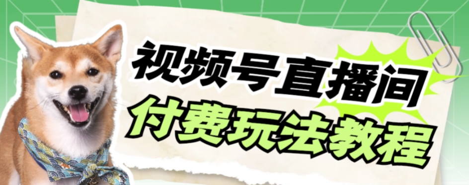 视频号美女付费无人直播，轻松日入500+【详细玩法教程】-微众资源