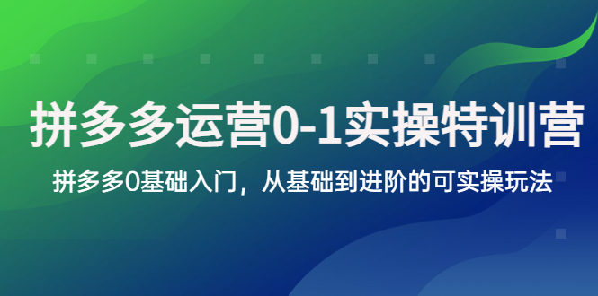 拼多多-运营0-1实操训练营，拼多多0基础入门，从基础到进阶的可实操玩法-微众资源