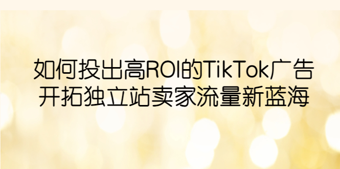 如何投出高ROI·TikTok广告，开拓独立站卖家流量新蓝海-微众资源