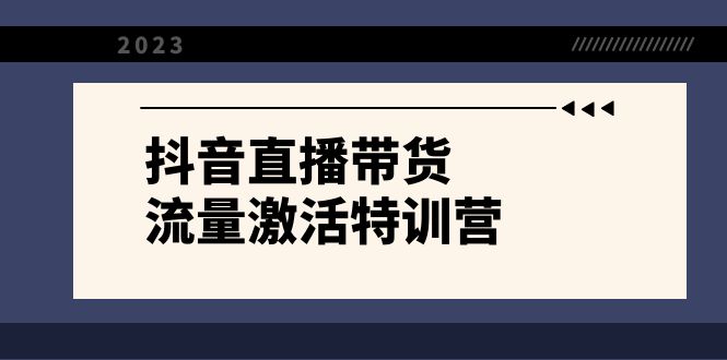 抖音直播带货-流量激活特训营，入行新手小白主播必学（21节课+资料）-微众资源