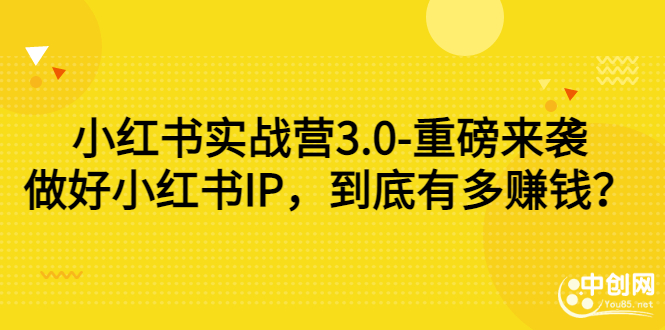 小红书实战营3.0-重磅来袭：做好小红书IP，到底有多赚钱？-微众资源