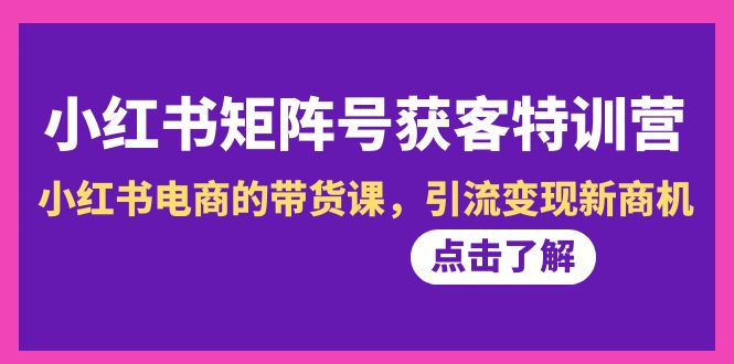 小红书-矩阵号获客特训营-第10期，小红书电商的带货课，引流变现新商机-微众资源