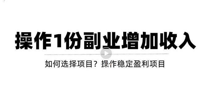 新手如何通过操作副业增加收入，从项目选择到玩法分享！【视频教程】-微众资源