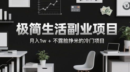 极简生活副业项目，月入1w+不露脸挣米的冷门项目-微众资源